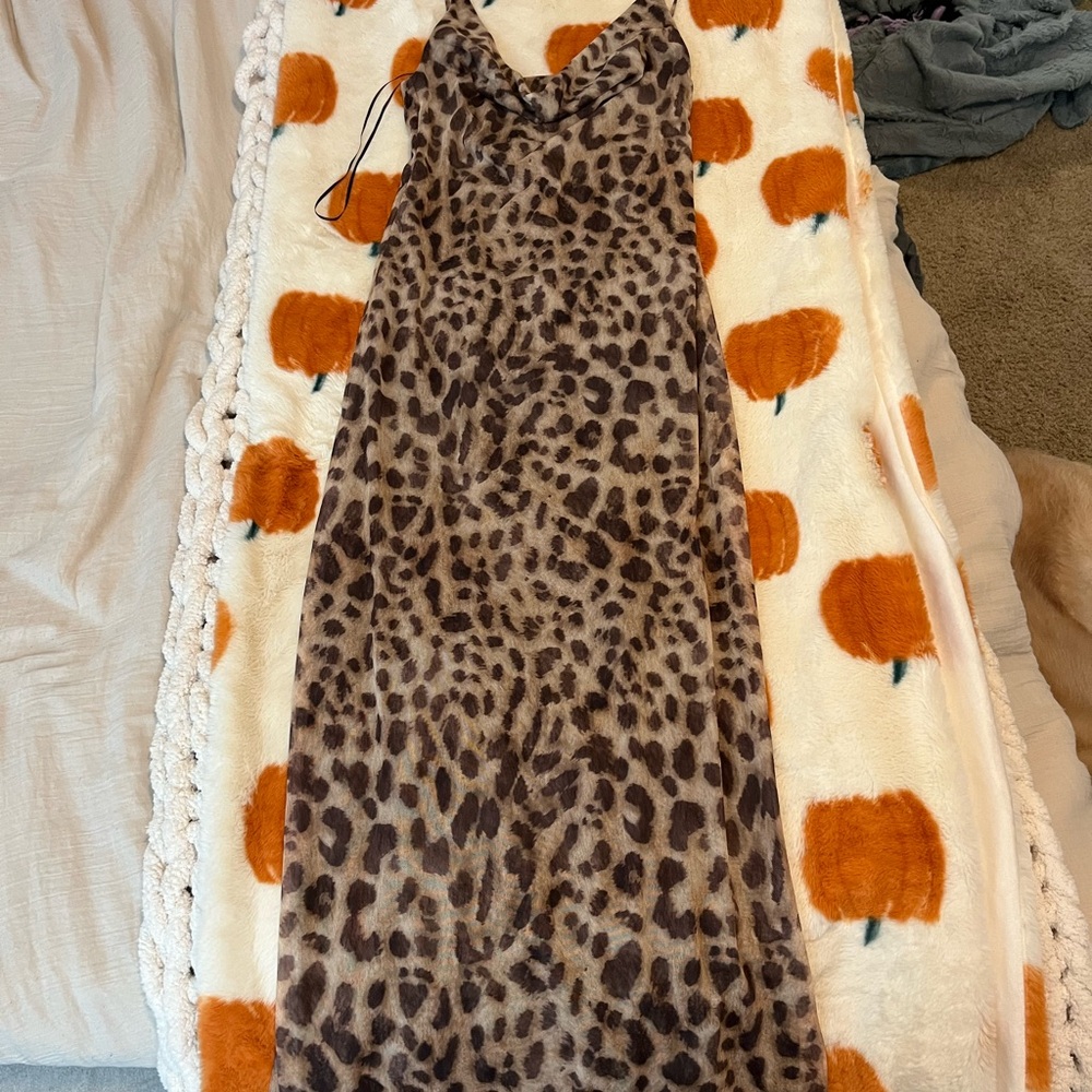 Zara Leopard Print Maxi Dress